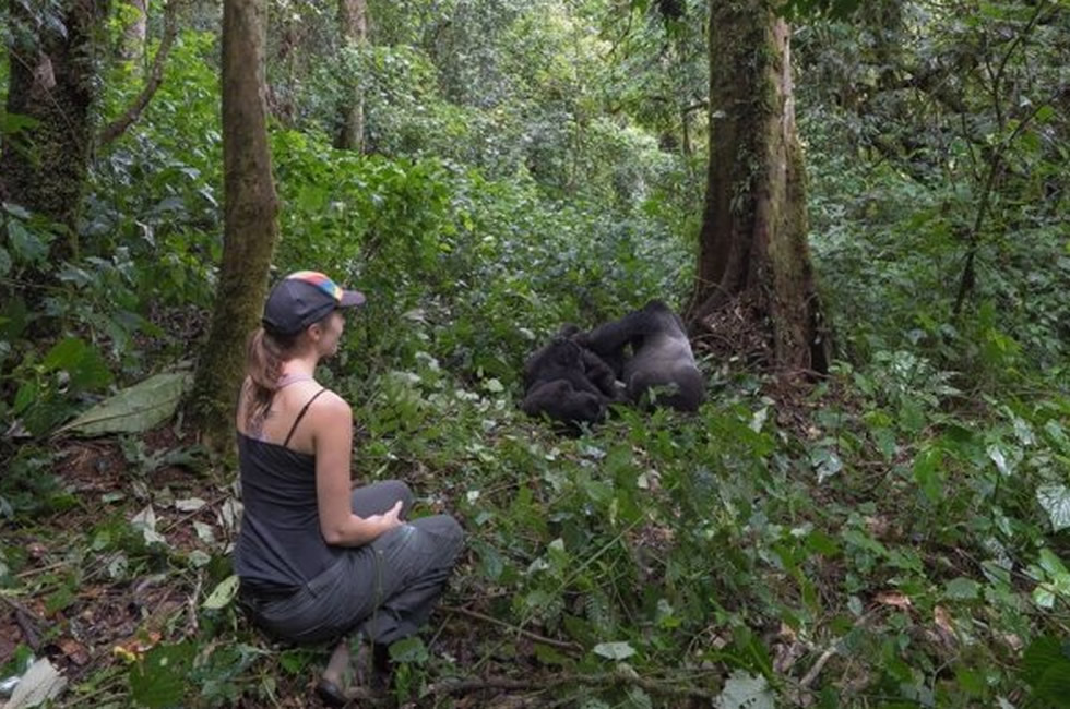 Experience Gorilla Tracking and Wildlife Safaris in Uganda