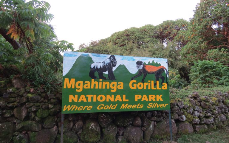 Mgahinga Gorilla National Park