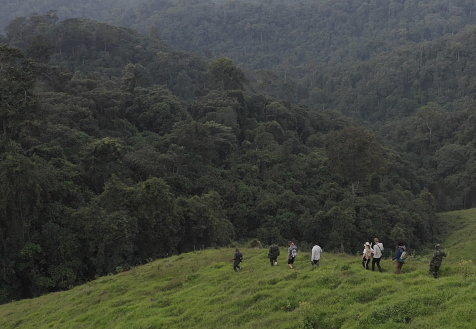 Gishwati Mukura Nature Walk